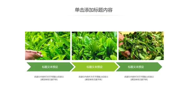 茶文化茶叶绿茶产品介绍动态PPT模板