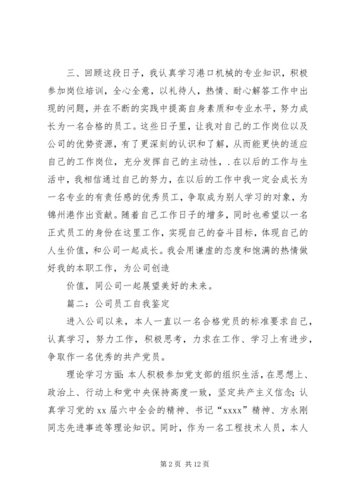 公司年度自我评价范文.docx