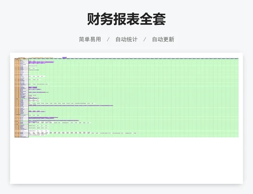 财务报表全套