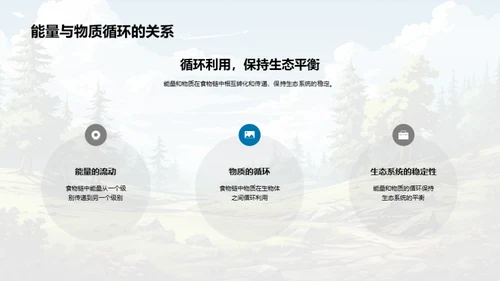 生态平衡与食物链