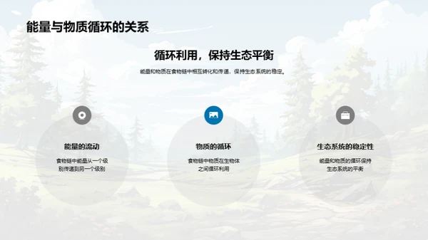 生态平衡与食物链