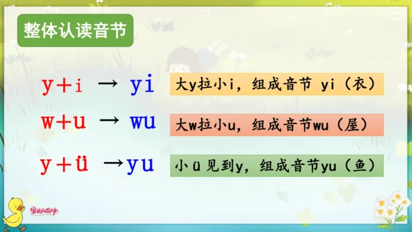 汉语拼音2  i  u  ü  y  w 课件
