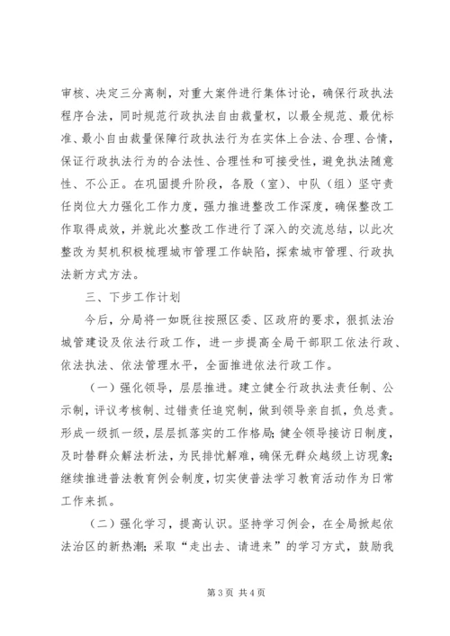 城管分局依法行政承诺整改工作报告.docx