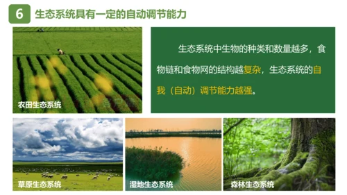 七上第一单元 生物和生物圈复习课件(共26张PPT)