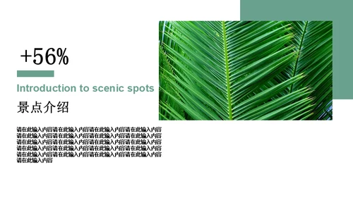 绿色简约风旅游出行安排通用PPT模板