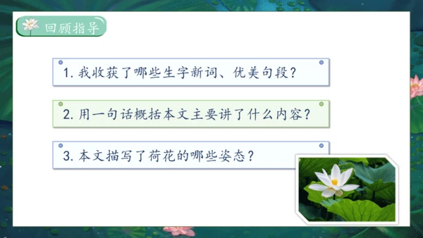 【核心素养】部编版语文三年级下册-3. 荷花 第1课时（课件）