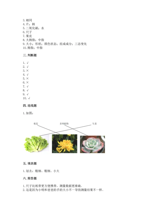 教科版一年级上册科学期末测试卷精品【综合题】.docx