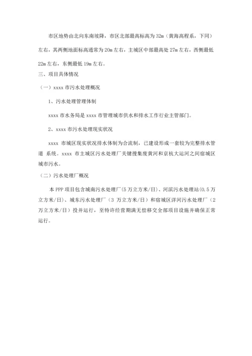 PPP实施专项方案.docx