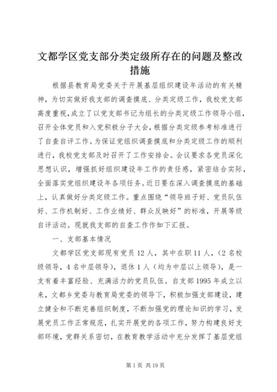 文都学区党支部分类定级所存在的问题及整改措施.docx