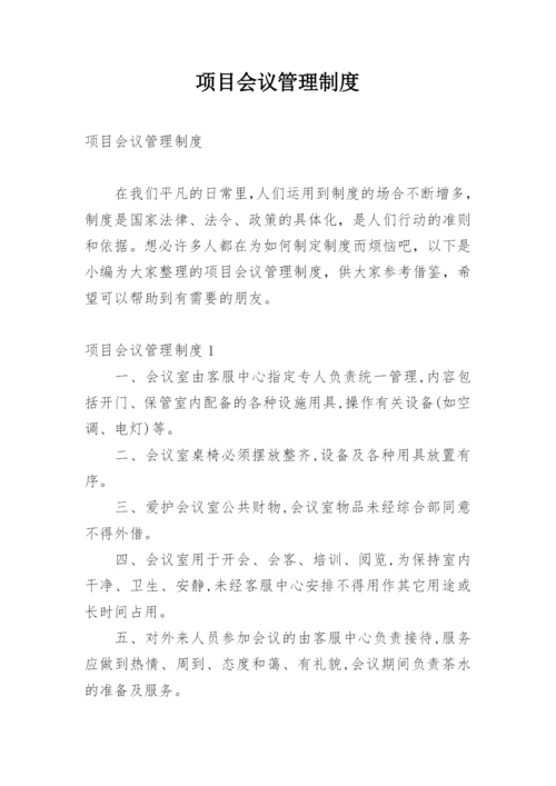 项目会议管理制度.docx