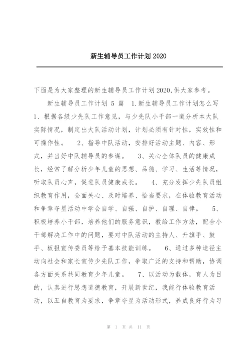 新生辅导员工作计划2020.docx