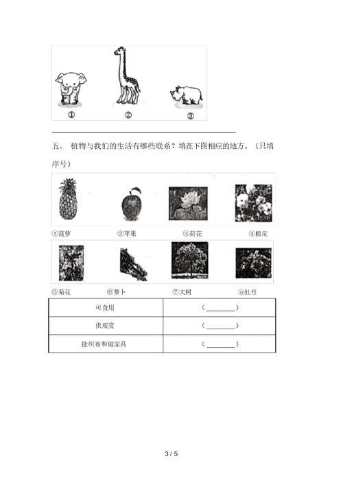 最新教科版一年级科学上册期末考试卷(参考答案)