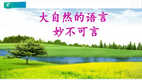 一年级道德与法治下册：第八课 大自然谢谢您 课件（共26张PPT）