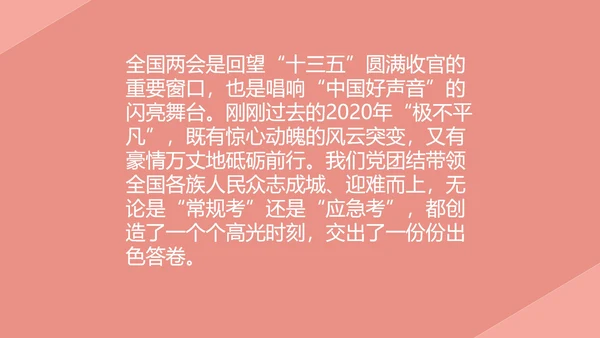 粉色党政风两会学习心得PPT模板