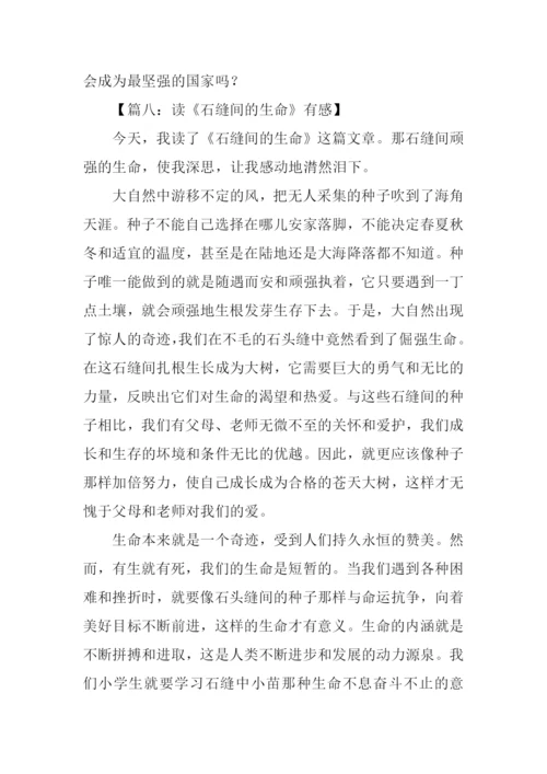 石缝间的生命读后感300字.docx