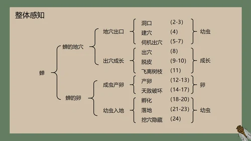 八年级下册蝉课件PPT模板