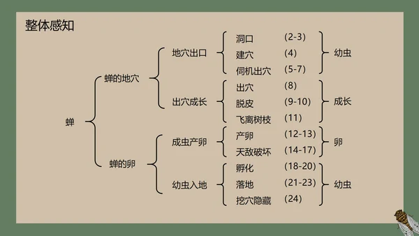 八年级下册蝉课件PPT模板