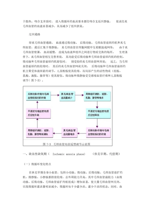 休克地分期与发病机制