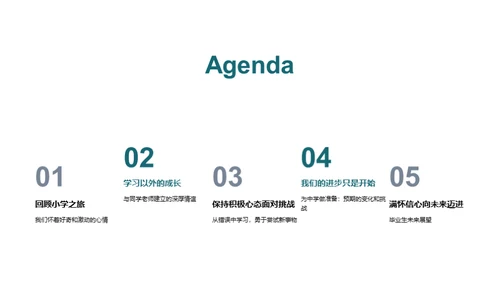小学时光，启航未来
