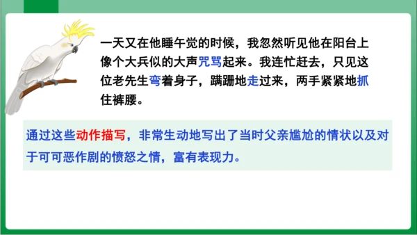 17.动物笑谈（课件）【2023秋人教七上语文高效实用备课】(共33张PPT)