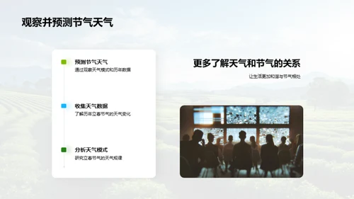 立春节气的奥秘解析