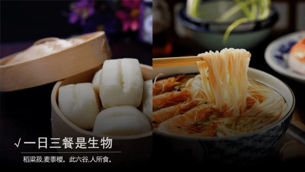 七年级生物学开学第一课-2023-2024学年七年级生物上册同步精品课堂（苏科版）(共32张PPT)