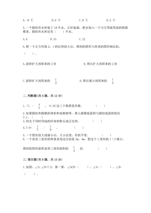 人教版六年级下册数学期末测试卷a4版可打印.docx