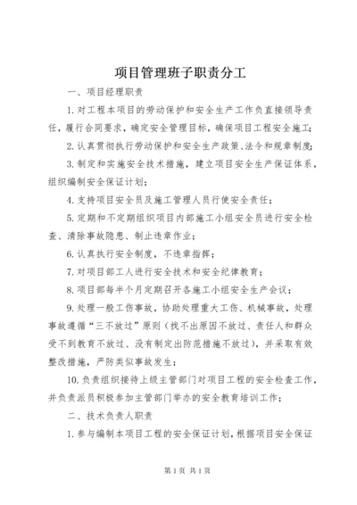 项目管理班子职责分工.docx