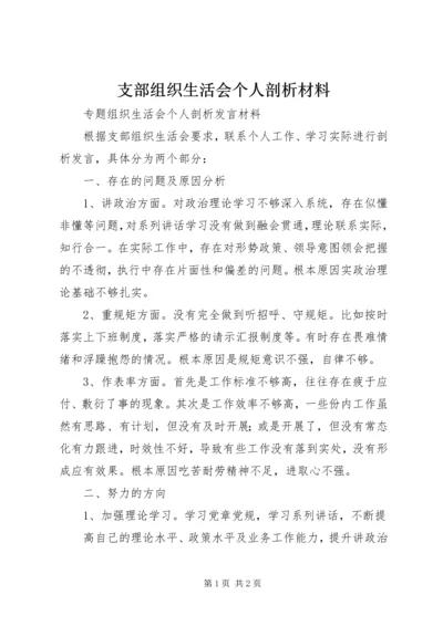 支部组织生活会个人剖析材料 (3).docx