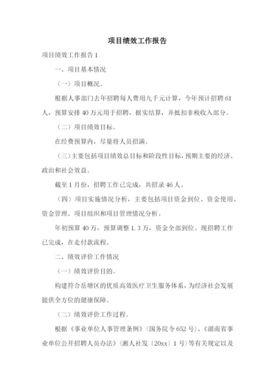 项目绩效工作报告.docx