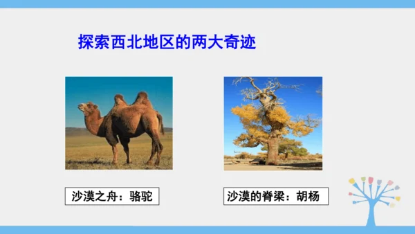 8.1 自然特征与农业（课件35张）-2024-2025学年人教版地理八年级下册