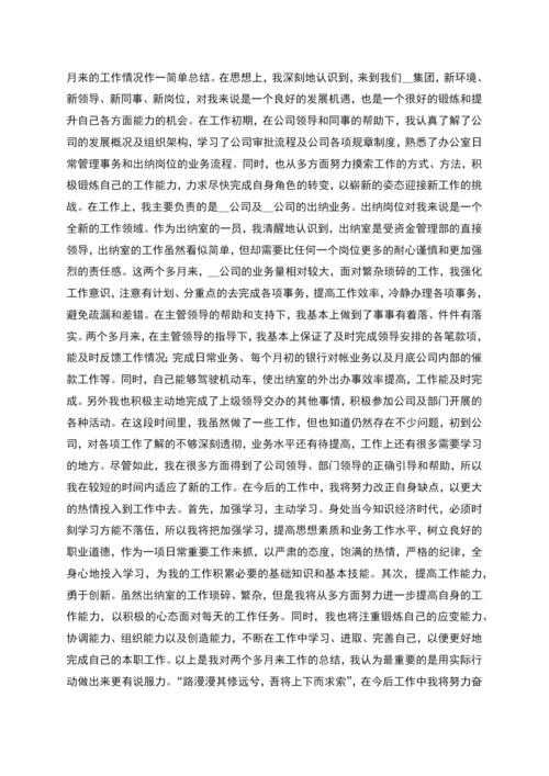 财务出纳试用期转正工作总结.docx