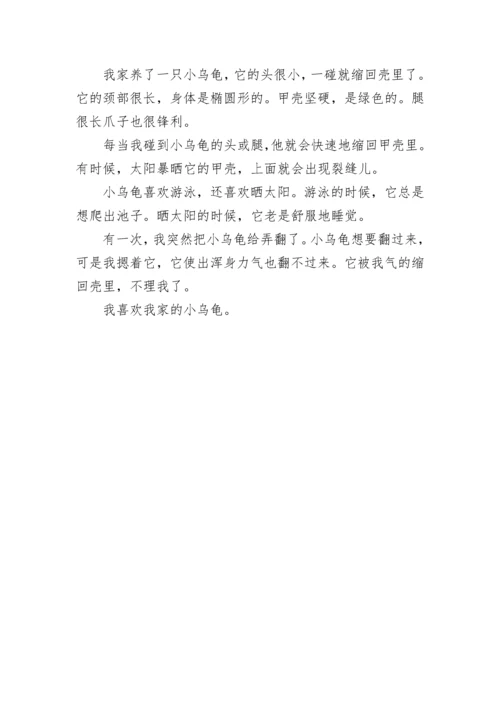 我们眼中的缤纷世界三年级优秀作文（范文10篇）.docx