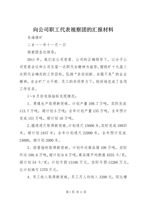 向公司职工代表视察团的汇报材料.docx