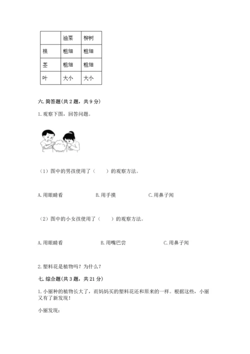 教科版科学一年级上册第一单元《植物》测试卷附答案【b卷】.docx