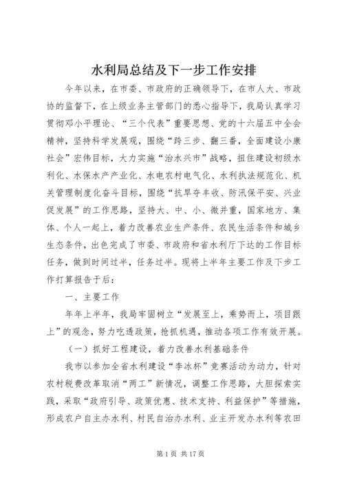 水利局总结及下一步工作安排.docx