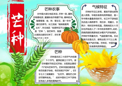 芒种节气word小报