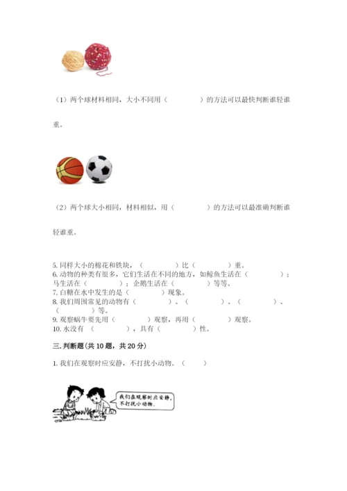 教科版一年级下册科学期末测试卷及参考答案（综合卷）.docx