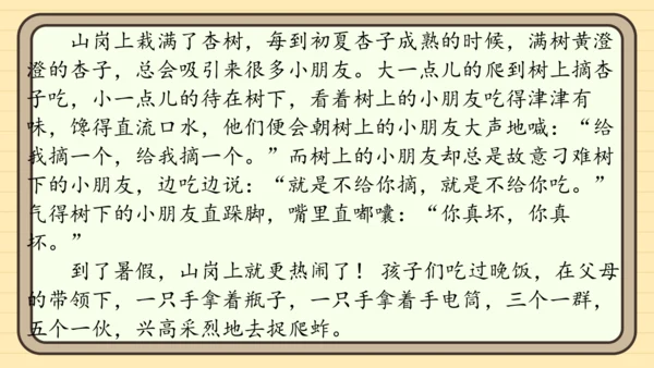 统编版语文二年级上册主题八  走进乡村 阅读与写作指导课件