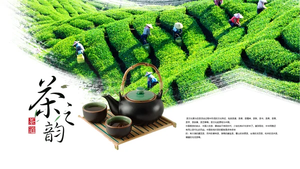 茶具茶叶绿茶白茶红茶黑茶茶文化茶厂PPT