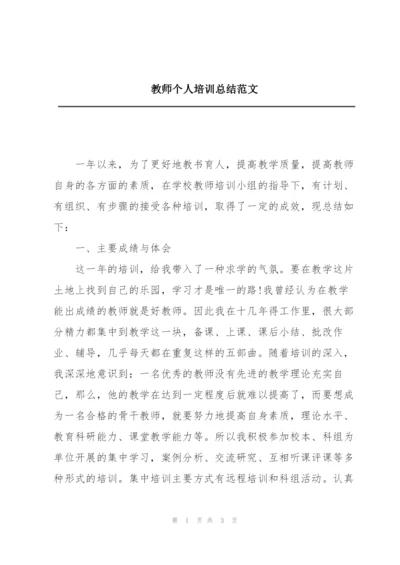 教师个人培训总结范文.docx