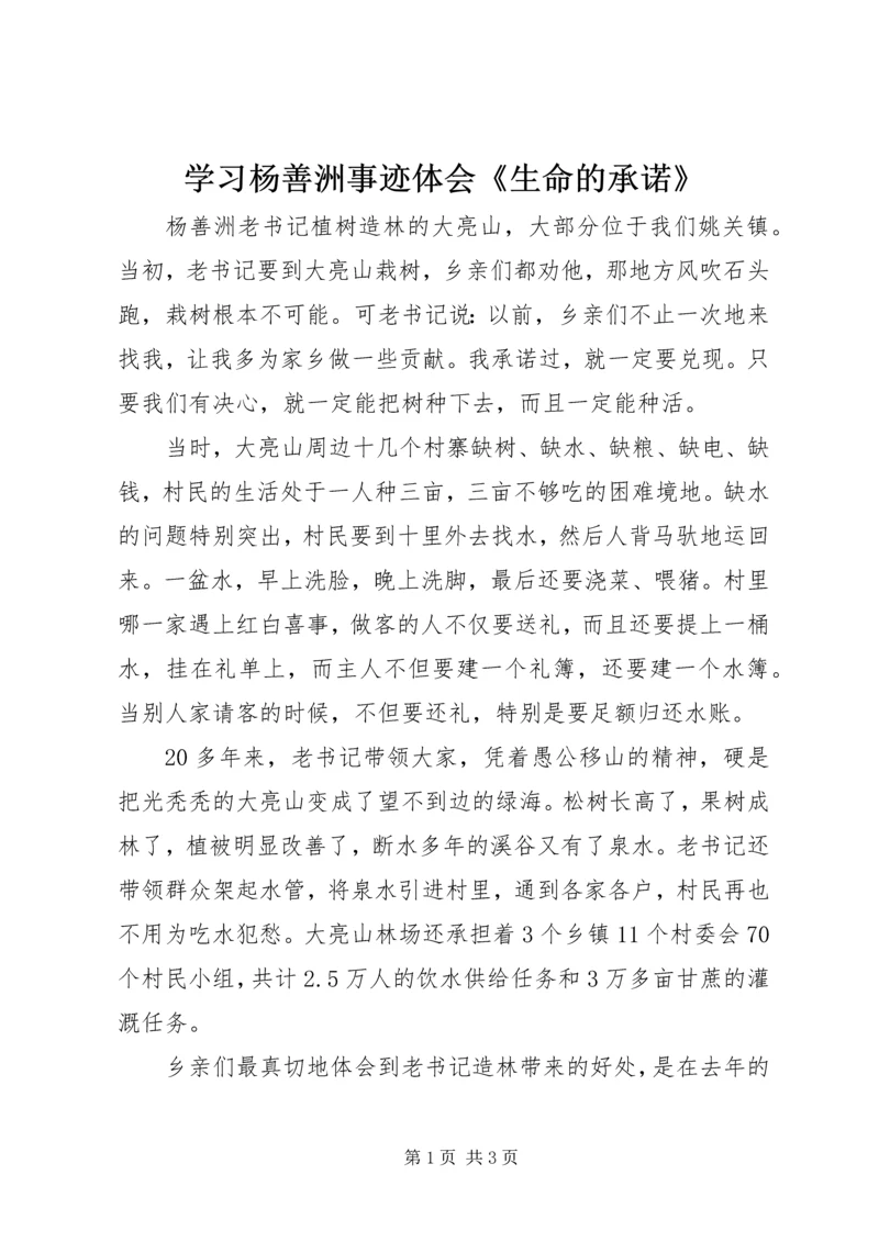 学习杨善洲事迹体会《生命的承诺》.docx