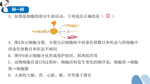 2.2.2 动物体的结构层次-2023-2024学年七年级生物上学期备课课件（人教版）(共26张PP