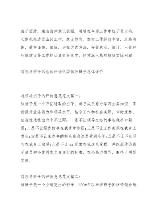对领导班子的总体评价纪委领导班子总体评价.docx