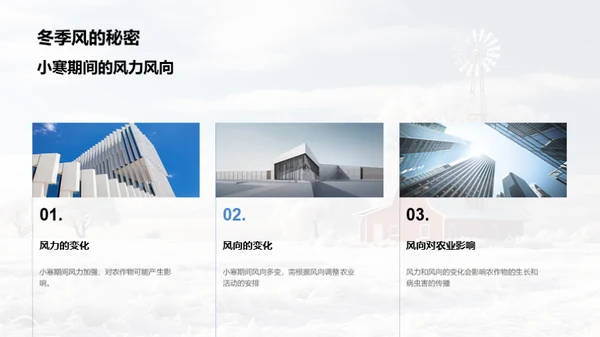 小寒节气农业应对