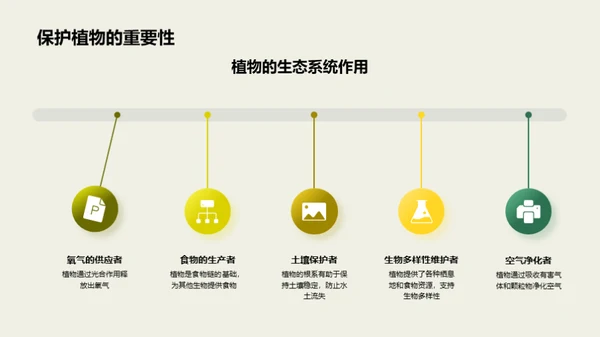 植物科学揭秘