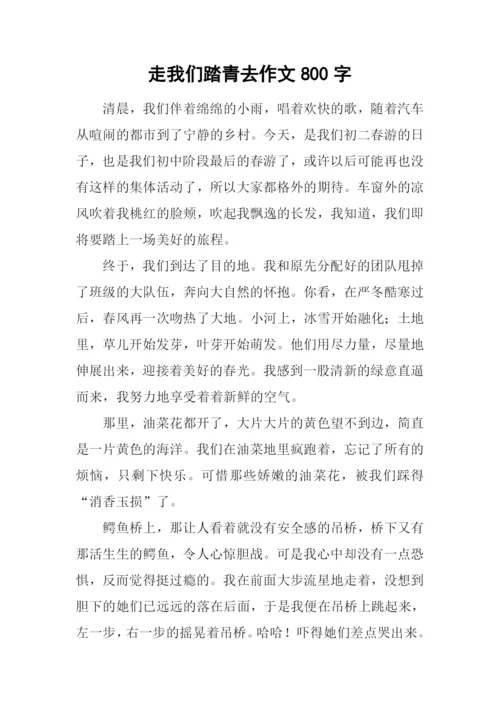 走我们踏青去作文800字.docx