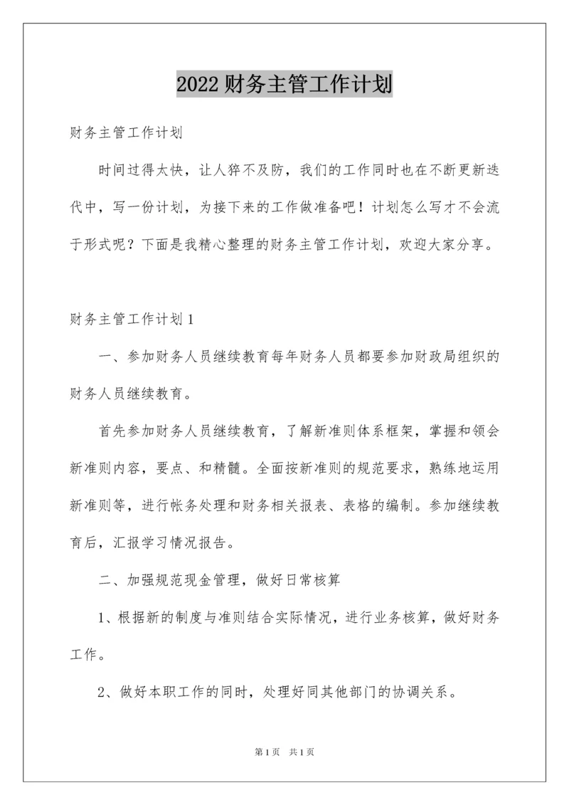 2022财务主管工作计划.docx