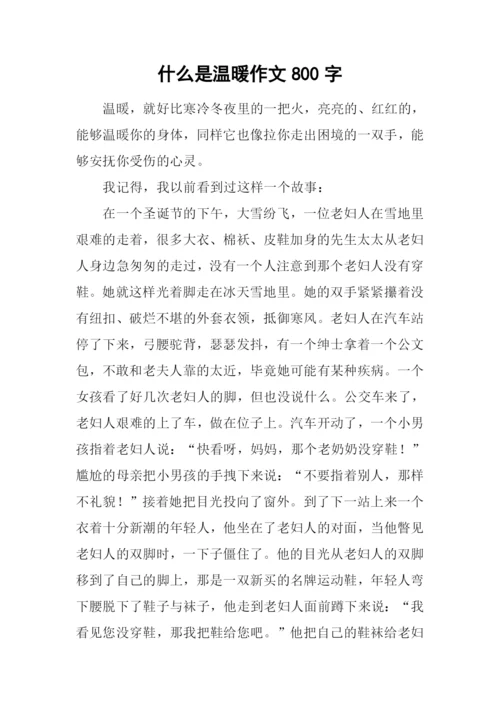 什么是温暖作文800字.docx