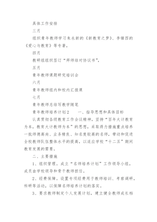 青年教师培养计划.docx